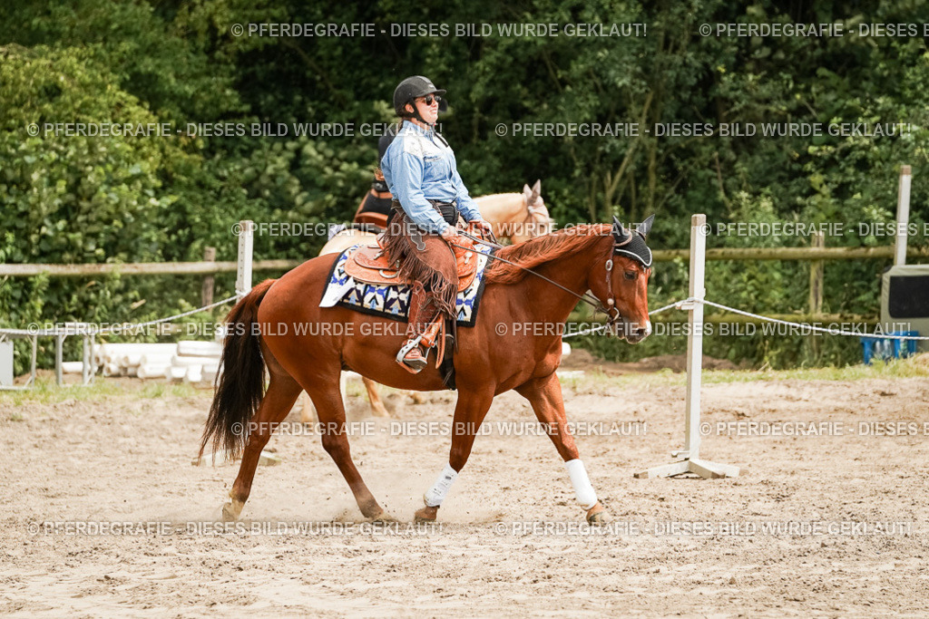 DSC00174 | Pferdegrafie