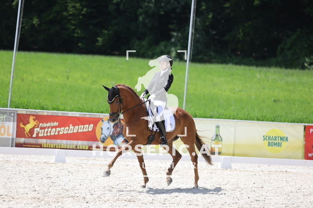 0P6A1197 | Willkommen bei Brunnmayr - Design & Fotografie – Ihrem Spezialisten für Reitturniere und Pferdeveranstaltungen in Oberösterreich, Salzburg und Bayern! Seit über 17 Jahren sind wir leidenschaftlich dabei.