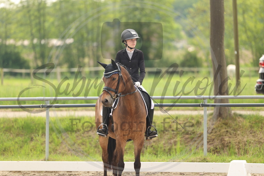 994A6945 | sabrinanicolaifotografie - Realisiert mit Pictrs.com