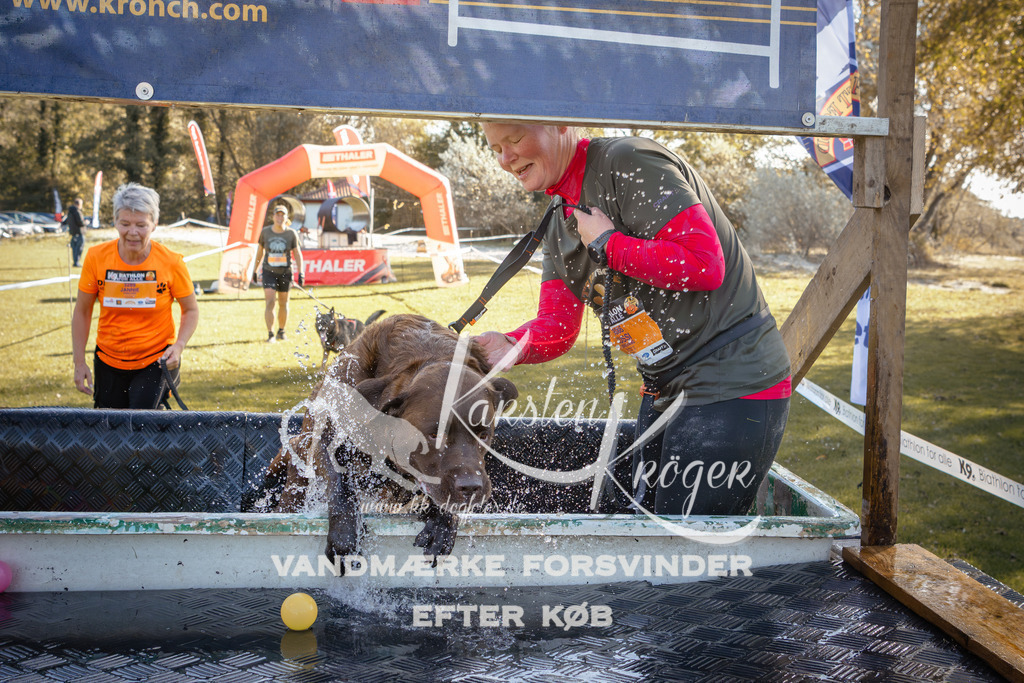 1221_ZZ95755 | kk-dogfotos