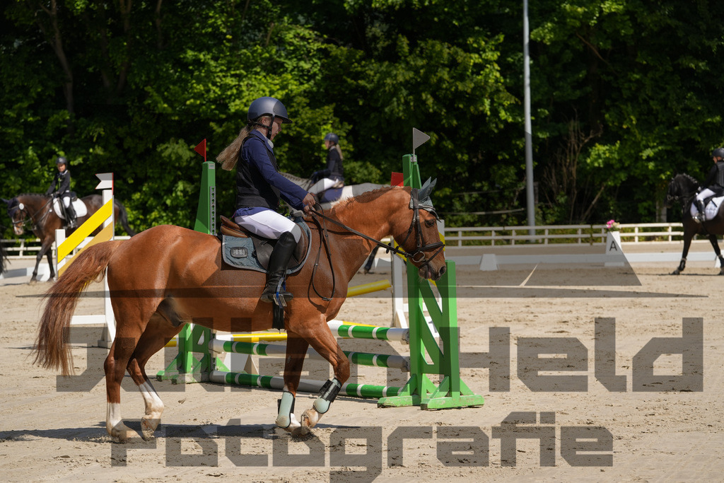 DSC03233 | Julian Held Fotografie - Realisiert mit Pictrs.com