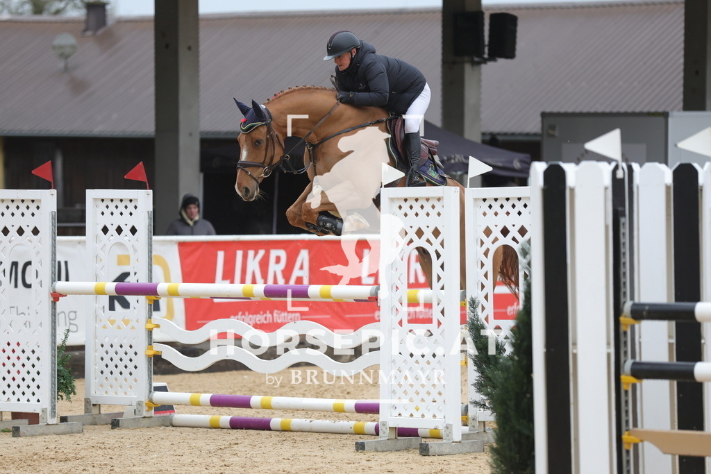 0P6A6997 | Willkommen bei Brunnmayr - Design & Fotografie – Ihrem Spezialisten für Reitturniere und Pferdeveranstaltungen in Oberösterreich, Salzburg und Bayern! Seit über 17 Jahren sind wir leidenschaftlich dabei.