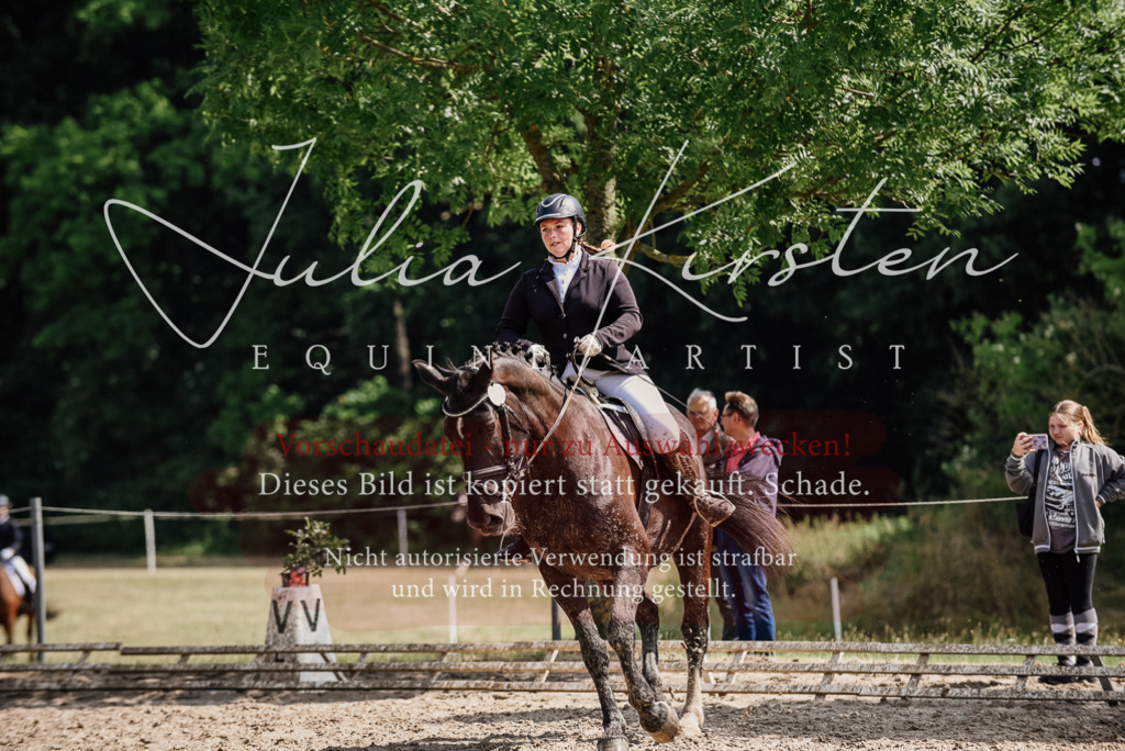 DSC_0227 | Pferde- und Turnierfotografie in Westsachsen. Pferdeportraits, Auftragszeichnungen und intuitive Kunst.