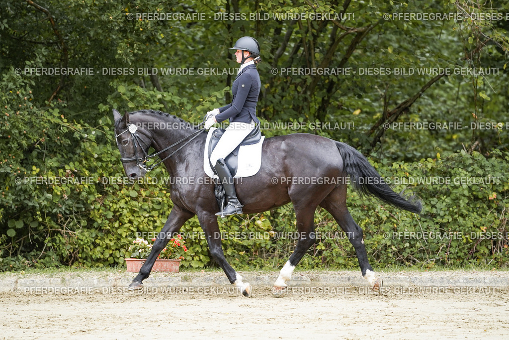 DSC08315 | Pferdegrafie