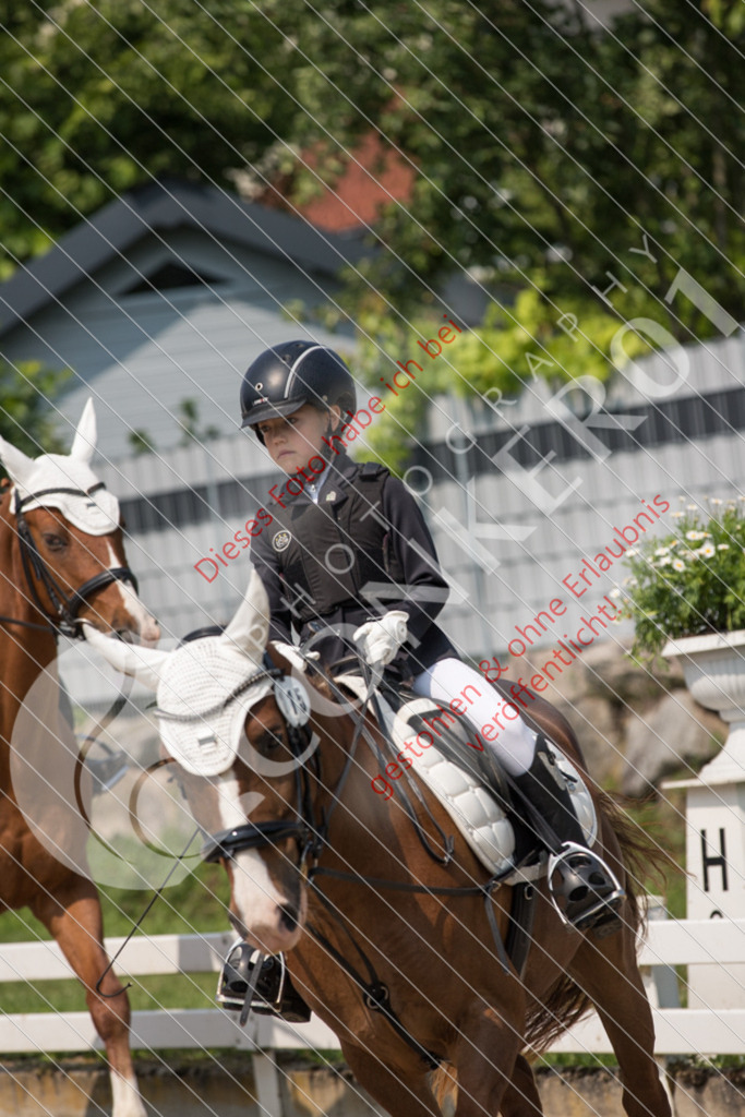 IMG_3217 | Sport-, Event- und Tierfotos in Profiqualität. Einfach auswählen, bestellen und herunterladen. Dein Moment – perfekt festgehalten.
