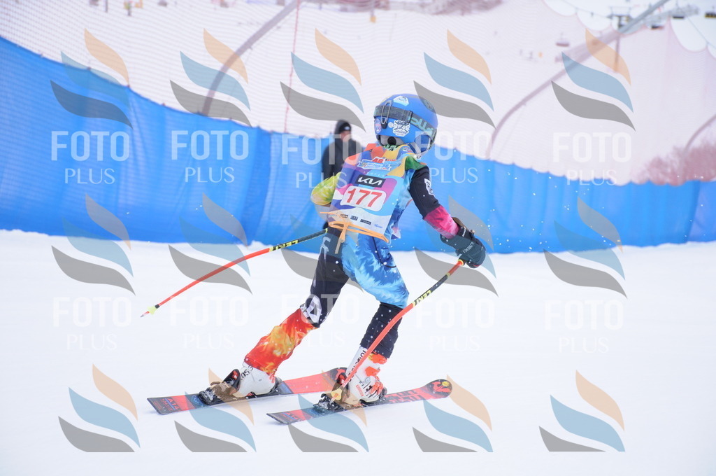 DSC_9003 | holidayphoto