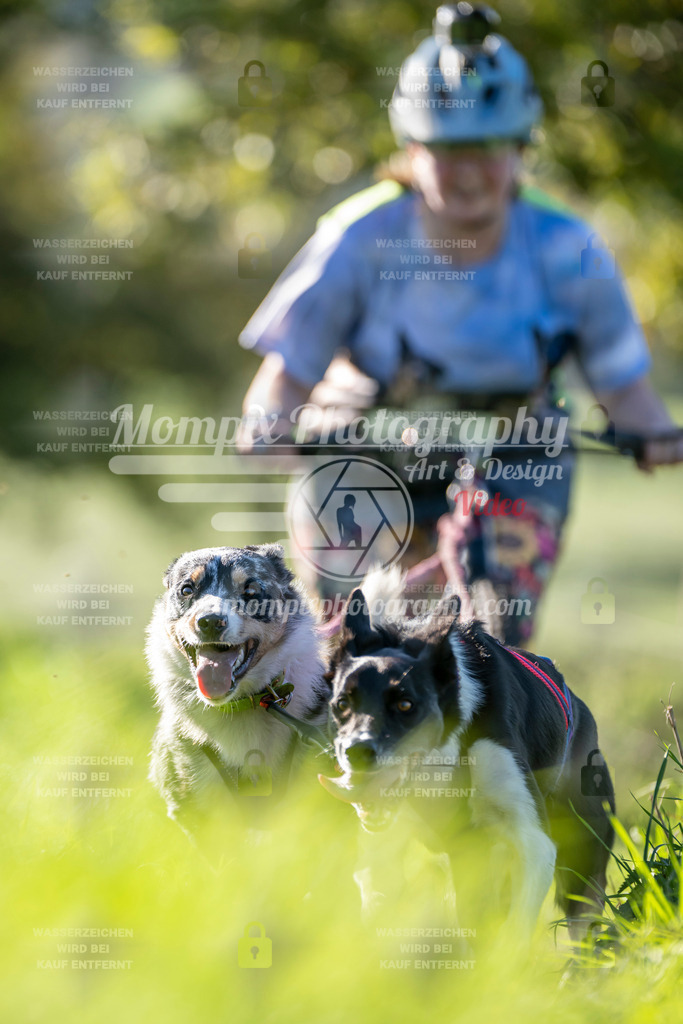 MompixPhotography_20TSB_E3_DS2-32 | PayLife