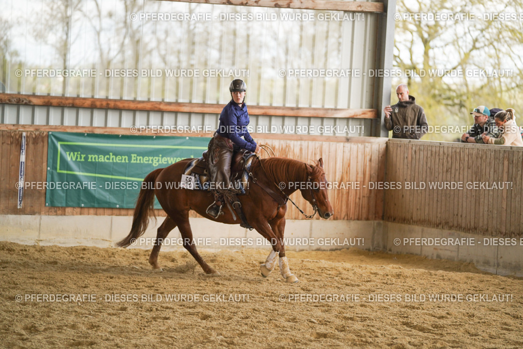 DSC08843 | Pferdegrafie