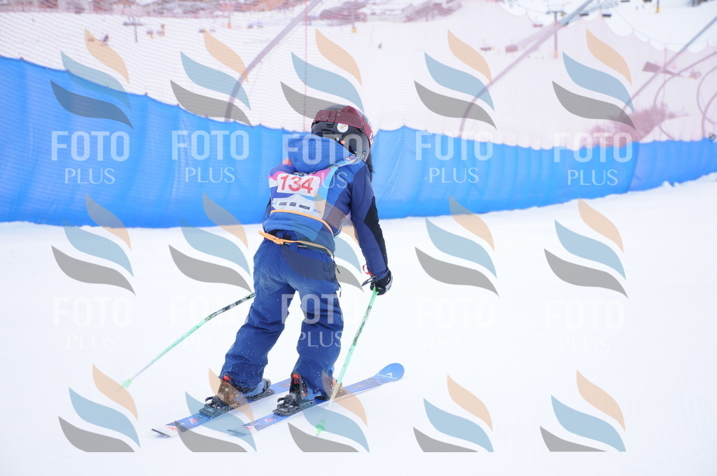 DSC_8626 | holidayphoto