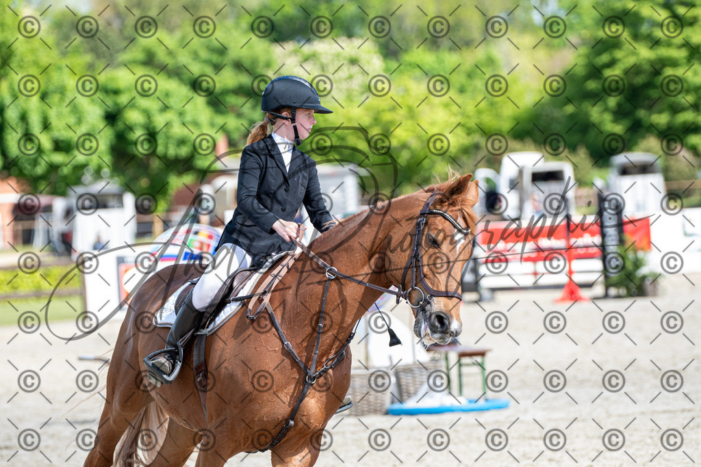 KPT_4894 | andre_photographic