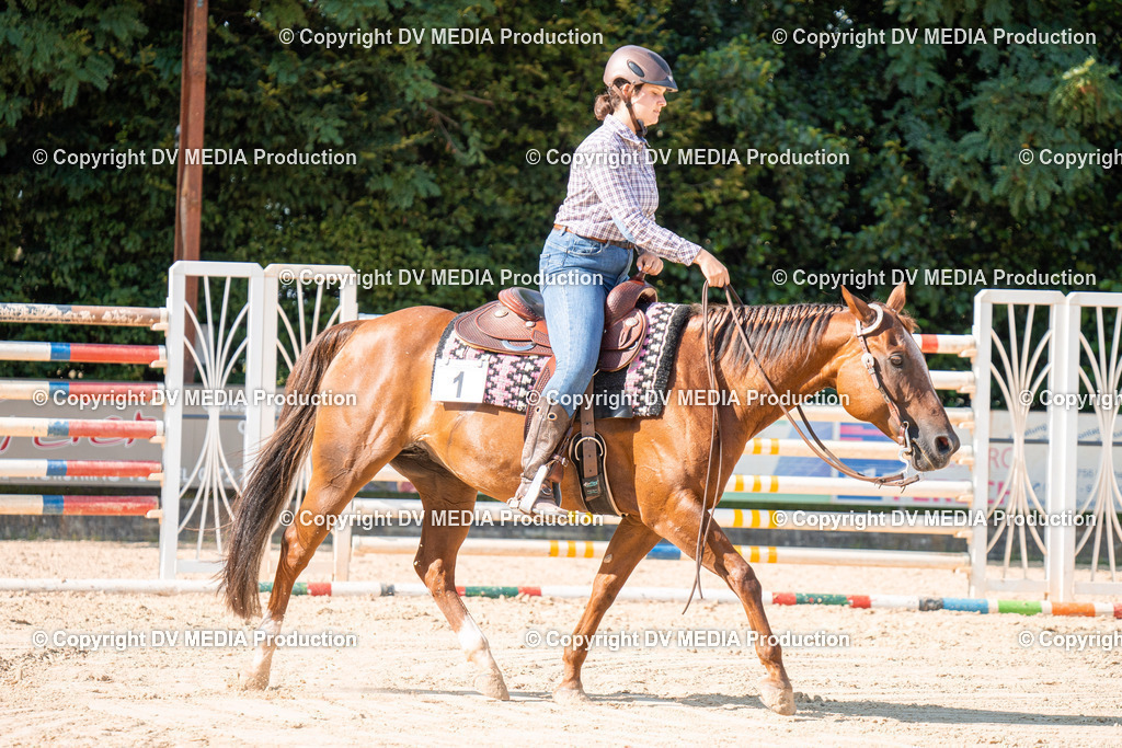 ZH100706 | dv-media-shop - Realisiert mit Pictrs.com