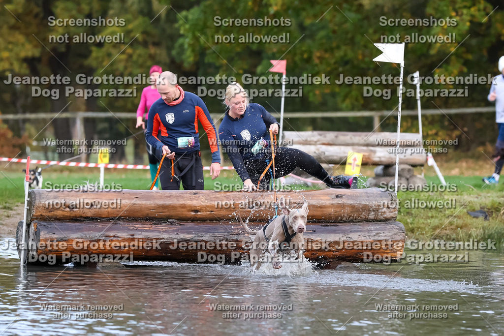 Dog Paparazzi - Strongdog 10-25-6787 | Dog Paparazzi Jeanette Grottendiek Fotografie & Videografie - Realisiert mit Pictrs.com