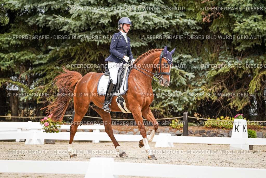 DSC05108 | Pferdegrafie