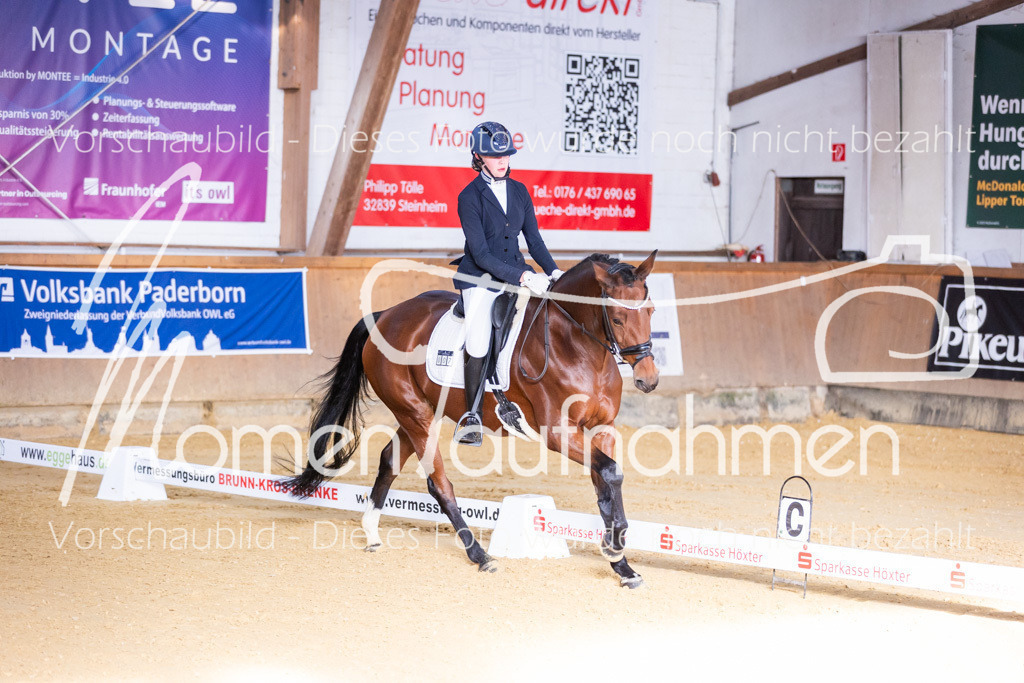 Sth-A-Dre-1St-127 | MomenTaufnahmen Pferdesportfotos