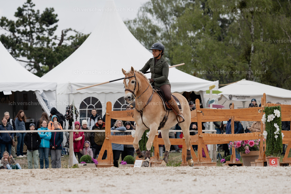 PI26_SP_StoibphotographyC2_C0235.jpg | working equitationturnier fotograf videograf stoibphotography marixx film working equitation deutschland reitsport turnierfotografie eventfotografie equestrian events