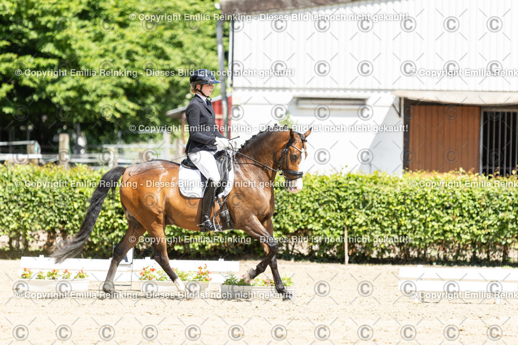 CL5A3700-2 | Emilia Reinking Fotografie - Realisiert mit Pictrs.com