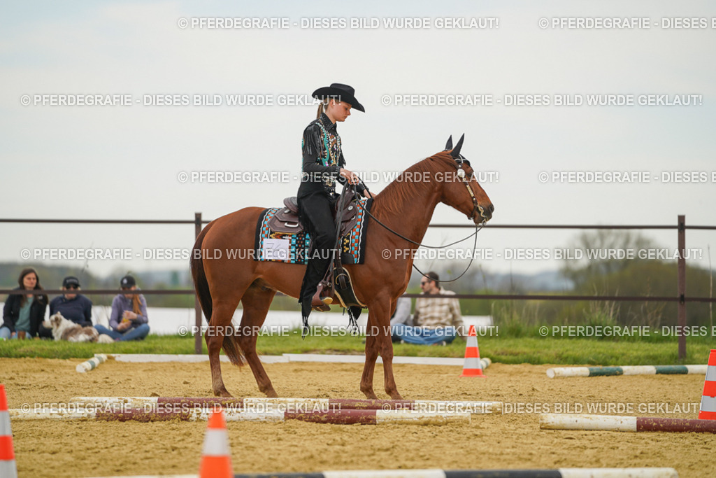 DSC02724 | Pferdegrafie