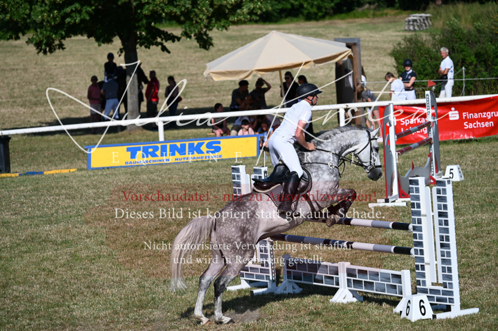 DSC_2574 | Pferde- und Turnierfotografie in Westsachsen. Pferdeportraits, Auftragszeichnungen und intuitive Kunst.