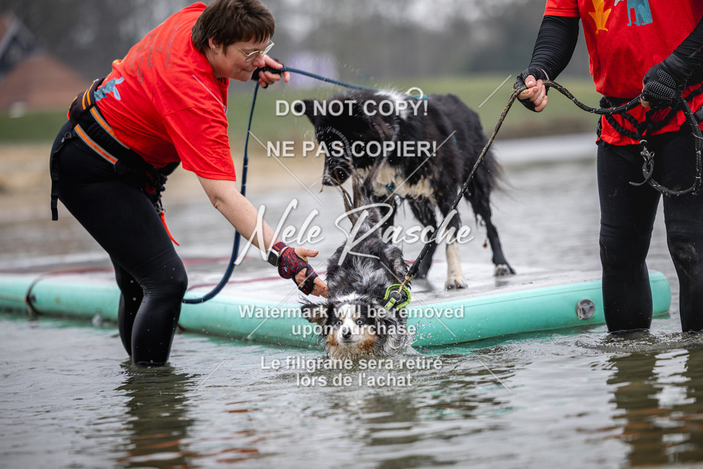 nelerasche_Hulsbeek_Sa1130-1230_95 | nelerasche
