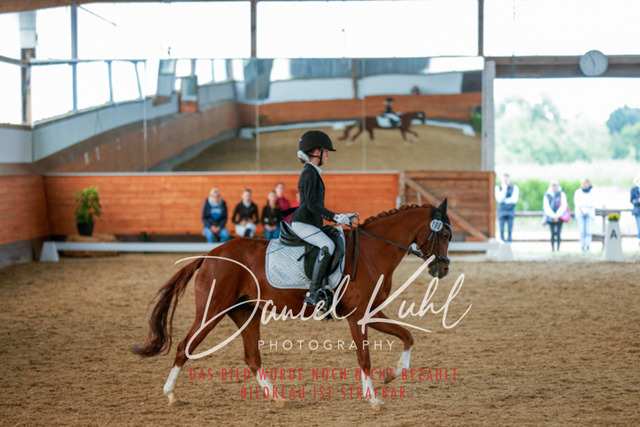 _62_6364 | Turniersportfotografie; Pferdefotografie; Dressurfotografie