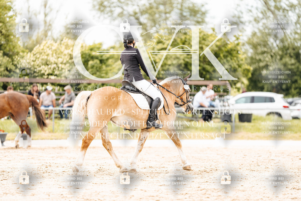 CK902962 | Turnierfotografie Pferdefotografie Trier Rheinland-Pfalz Pferdesport Reitsport Tierfotografie Sportfotografie Pferdevideo Pferdevideografie Equestrianvideography equestrianphotography  - Realisiert mit Pictrs.com