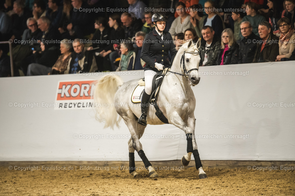 20240302_Hengstvorstellung_Marbach_TOMsPiC_1037-2 | equistock