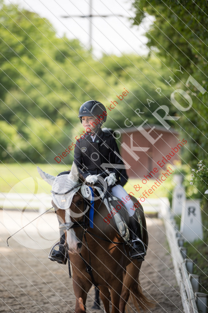 IMG_3431 | Sport-, Event- und Tierfotos in Profiqualität. Einfach auswählen, bestellen und herunterladen. Dein Moment – perfekt festgehalten.