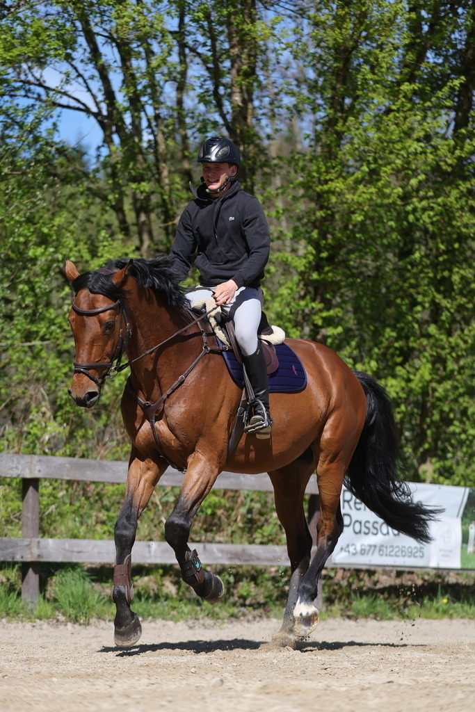 0P6A8118 | Willkommen bei Brunnmayr - Design & Fotografie – Ihrem Spezialisten für Reitturniere und Pferdeveranstaltungen in Oberösterreich, Salzburg und Bayern! Seit über 17 Jahren sind wir leidenschaftlich dabei.