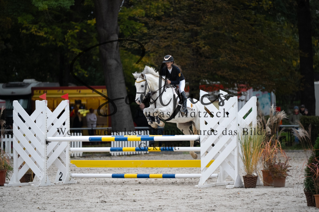 A7V08649 | Pferdefotograf