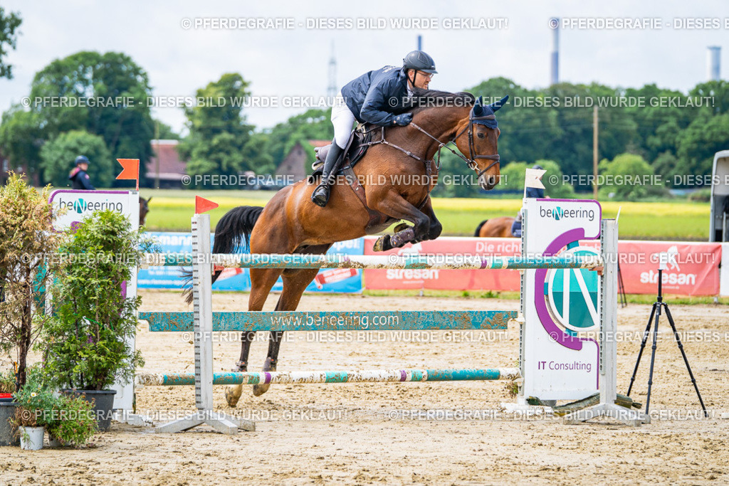 DSC04022 | Pferdegrafie