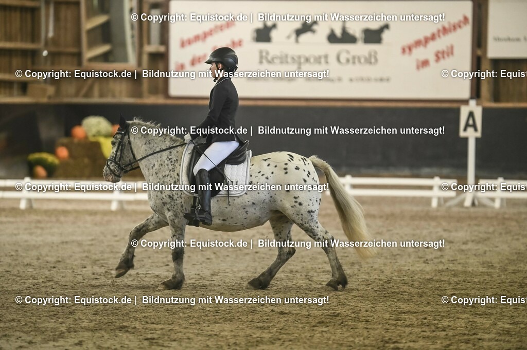 20231029_04_Dressur-WB_0362 | Foto: Thomas Hartig