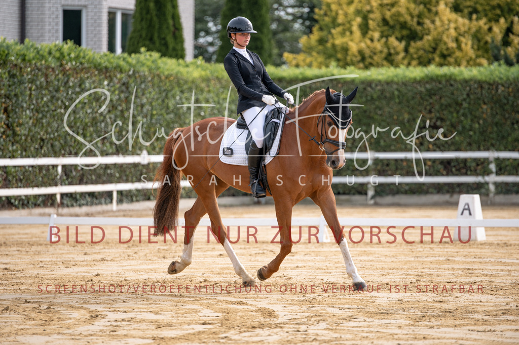 Schugtsche-Aluta25-40.DressurprfA_-83 | Schugtsche Fotografie - Realisiert mit Pictrs.com