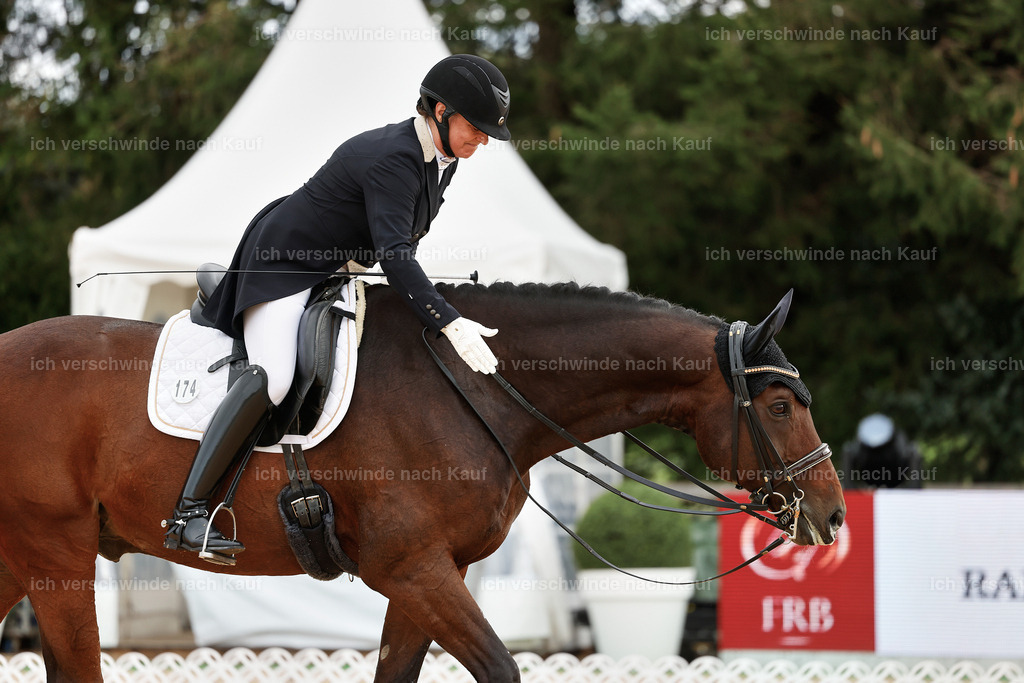 6-174-AMATUER-DRESSUR S_  -StoibPH-3496 | working equitationturnier fotograf videograf stoibphotography marixx film working equitation deutschland reitsport turnierfotografie eventfotografie equestrian events