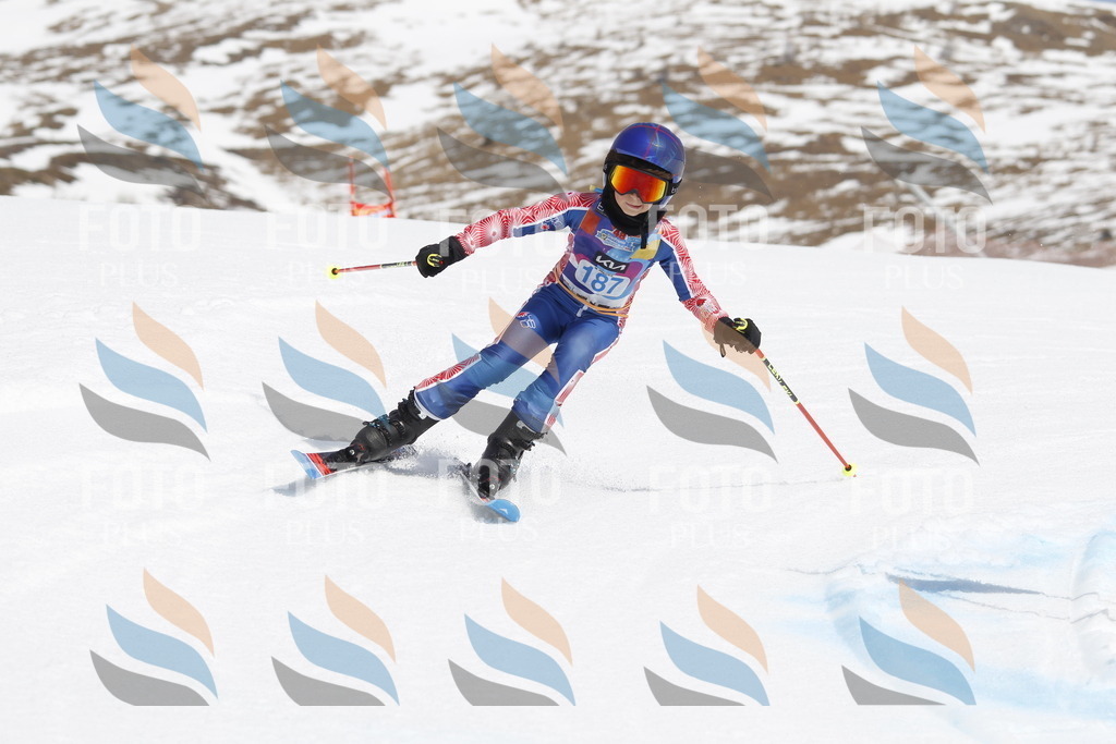 _U3G1852 | holidayphoto