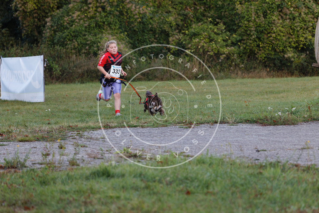 0L8A4260 | Hundefotografie, Tierfotograf, Pfotenfotografie, Fotoshooting Hund, Hunde Portrait, Hundesport, Hundeportraits, Heideshooting, Hunde, Sportfotograf, Hundefotograf, Turnierhundsport, THS,  - Realisiert mit Pictrs.com