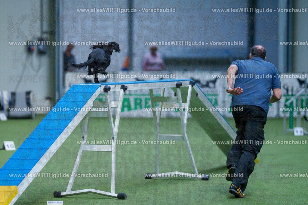 @allesWIRTHgut_Tierfotografie - www.allesWIRTHgut.de - 2604260801-7R506527 | Professionelle Tierfotografie in Mönchengladbach von Daniel Wirth (allesWIRTHgut). Liebevolle & natürliche Bilder von Hunden & Katzen für unvergessliche Erinnerungen.
