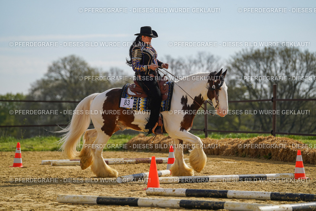 DSC01638 | Pferdegrafie