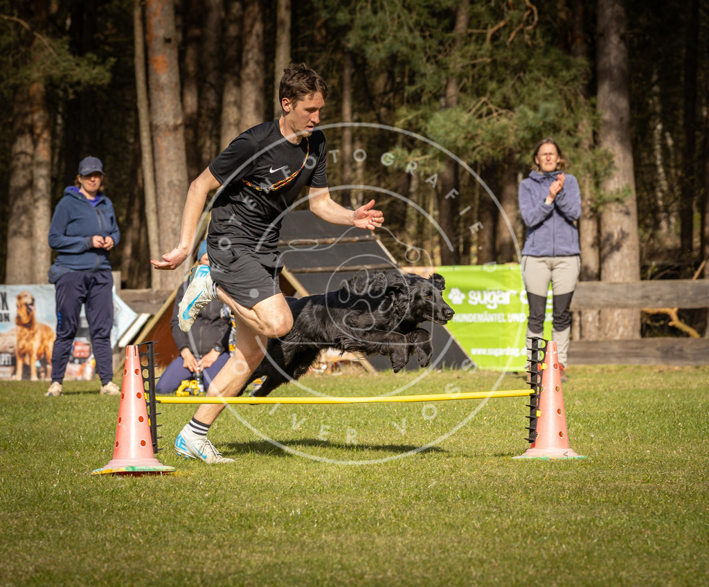 Pfotenfotografie_DV3A2640 | Hundefotografie, Tierfotograf, Pfotenfotografie, Fotoshooting Hund, Hunde Portrait, Hundesport, Hundeportraits, Heideshooting, Hunde, Sportfotograf, Hundefotograf, Turnierhundsport, THS,  - Realisiert mit Pictrs.com