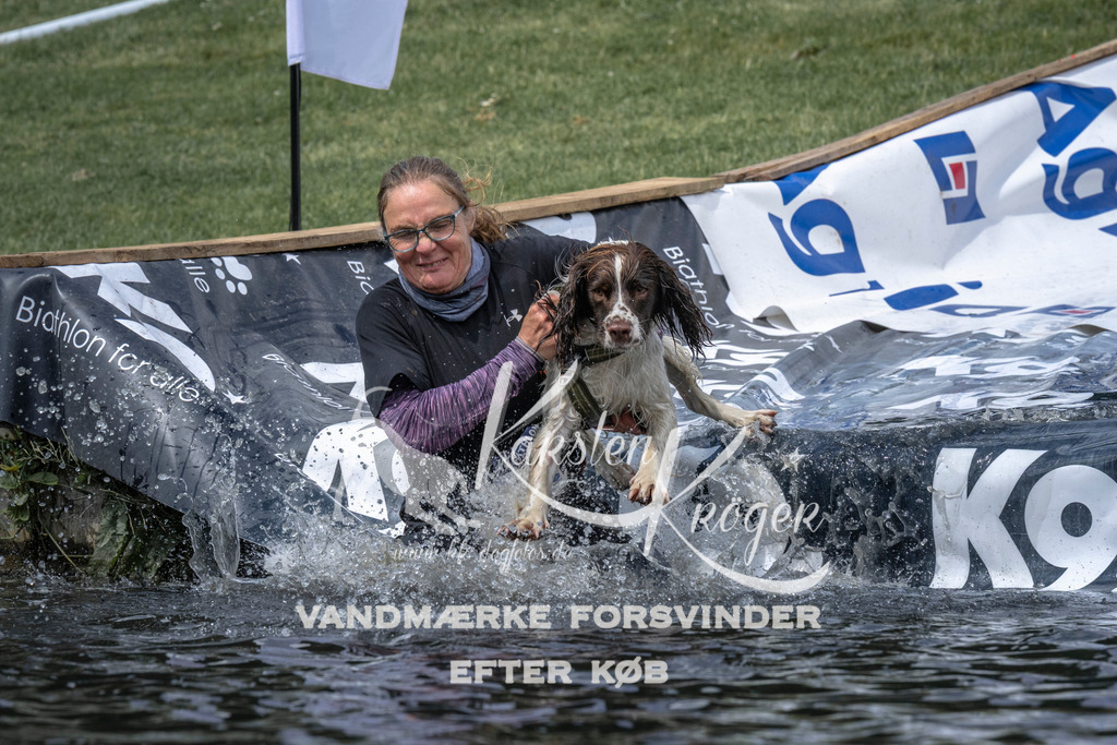 1156_ZZ94407 | kk-dogfotos