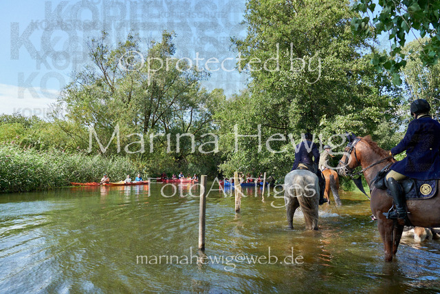 DSC01656_Marina Hewig | Fotografie, FotoArt, PferdesportArt, Pferdesportfotografie, Landschaftsfotografie, Reisefotografie, Reise, Pferde - Realisiert mit Pictrs.com