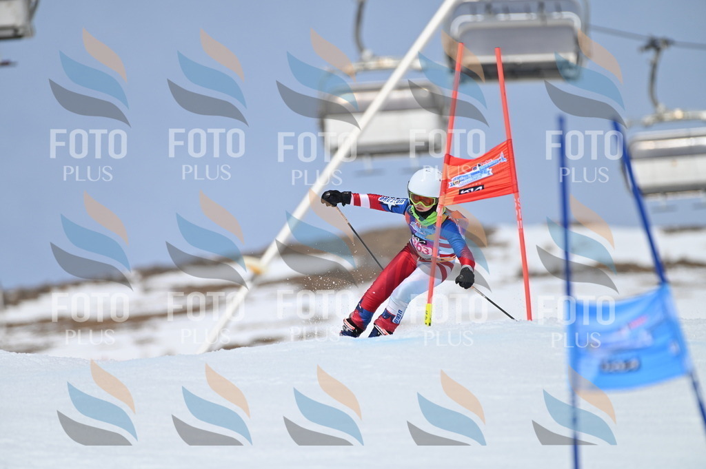 BGV_3880 | holidayphoto