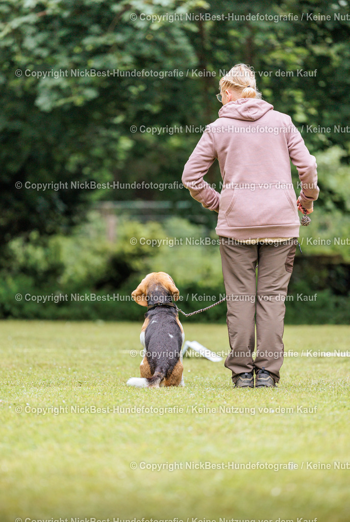 RO-Blumenthal-2026-Nickbest-Hundefotografie-4864 | Dein Hund! Dein Moment! Deine Erinnerungen! Hundefotografie in Bremen Blumenthal. Ich fange die besonderen Momente deines Vierbeiners ein – ob Indoor mit Blitzanlage oder in der freien Natur. Sicher dir dein Moment und dein Termin für eure Erinnerungen.