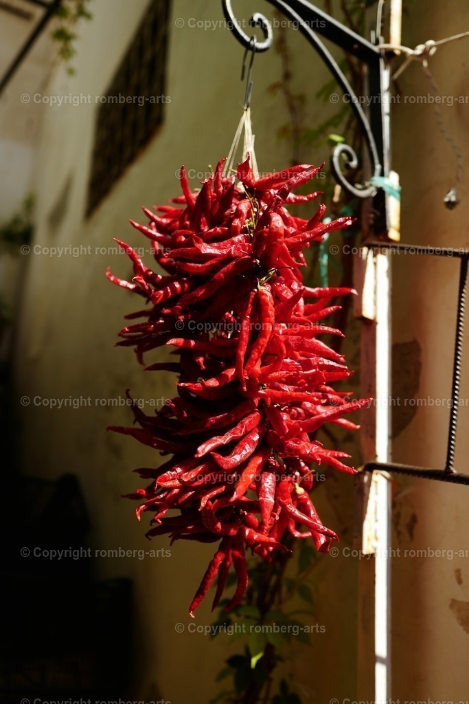 L1100084 | romberg-arts, romberg-arts.de, www.romberg-arts.de, Foto_Online_Shop, Julia Fuhrmann, Köln, Fotos, Fotografie, Fotokunst, Kunstdrucke, Naturfotos, Aktfotos, Nacktfotos, schwarz_weiß_Fotos, Blumenfotos, Blumen, Tiere, Beton, Korrosion, Lächeln, Drucke