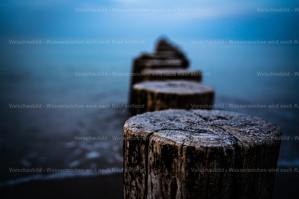 DSC03768-2 | marcuslinek