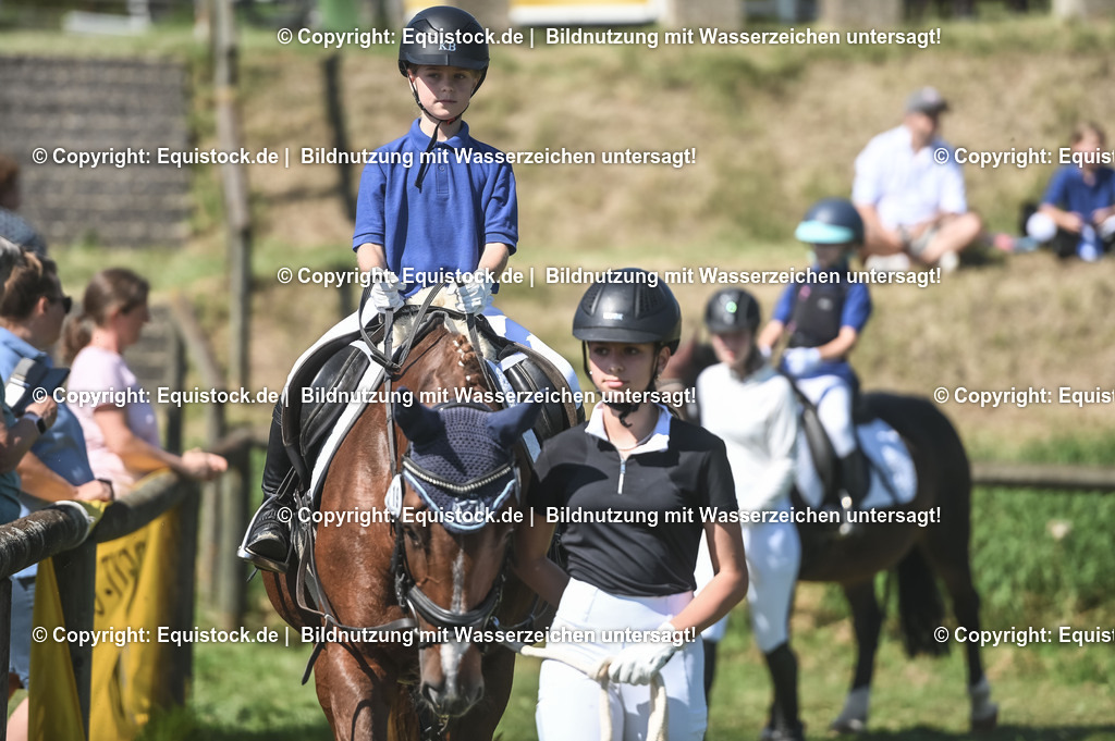 20230910_11-3_Führzügel-WB_0003 | Foto: Thomas Hartig