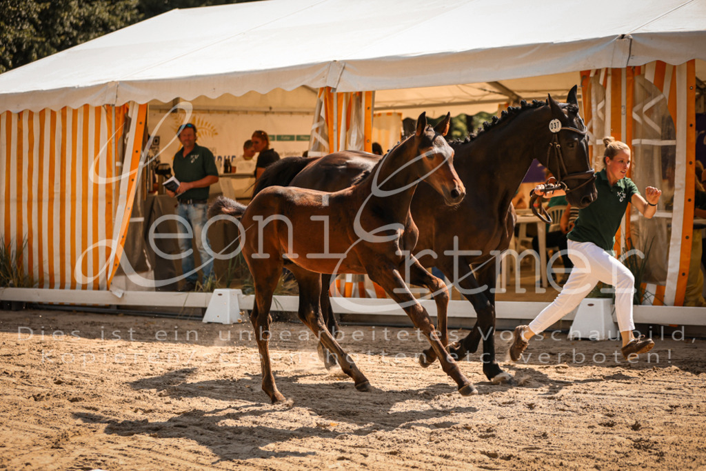 07.DoWBS00060 | Leoni Ertmer Photography - Realisiert mit Pictrs.com