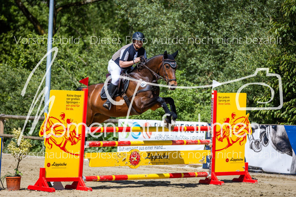 Donop24-Stil-L-052 | MomenTaufnahmen Pferdesportfotos