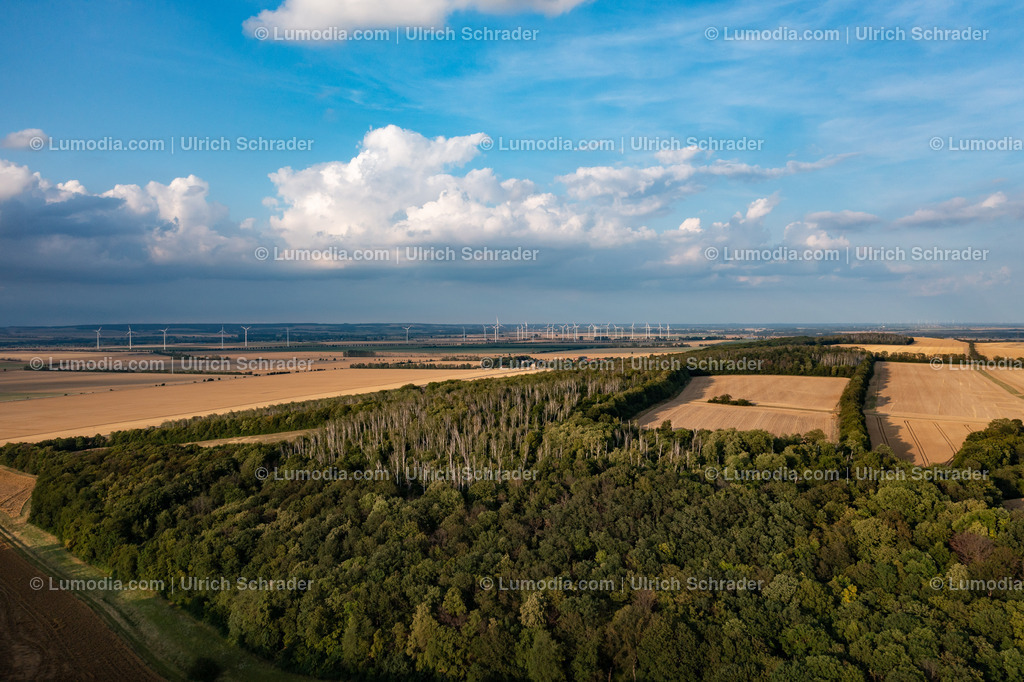 10049-51988 - Landschaft bei Eilenstedt | Stockfoto und Bilderpool mit Bildmaterial aus Deutschland, dem Harz, Halberstadt, Quedlinburg, Wernigerode und weltweit. Qualitativ hochwertige und professionelle Fotos anschauen und kaufen. - Realisiert mit Pictrs.com