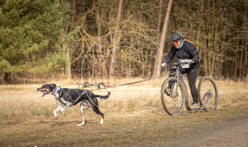 DV3A4745 | Hundefotografie, Tierfotograf, Pfotenfotografie, Fotoshooting Hund, Hunde Portrait, Hundesport, Hundeportraits, Heideshooting, Hunde, Sportfotograf, Hundefotograf, Turnierhundsport, THS,  - Realisiert mit Pictrs.com