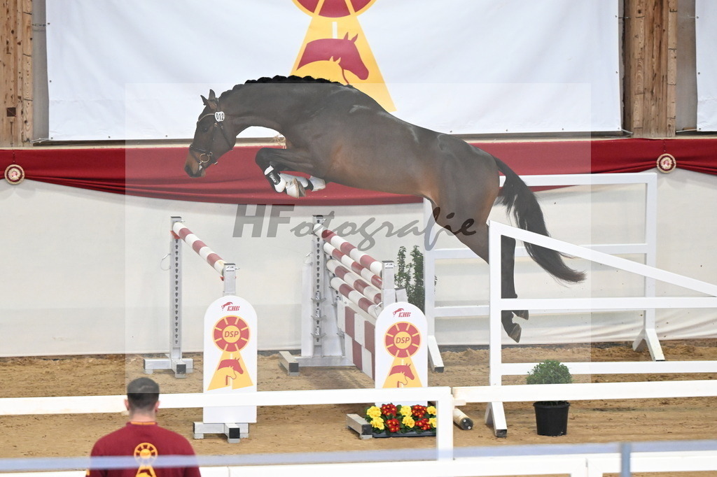 Kat.-Nr. 12 v. Conthargos_Scheuerer_3261611 | hf-fotografie - Realizzato con Pictrs.com